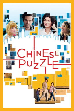 Chinese Puzzle - 2013